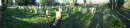 Churchyard Panorama